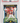 Bryce Young QB Card 2023 Score #301