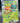 Decidueye ex 008/127