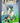 Marvel Comics Groot Vol 1