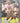 1991 Pro Set Joe Montana #139 Auto