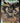 DC Comics Batman #101