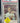 1963 Fleer Willie Mays #5 PSA EX-MT 6